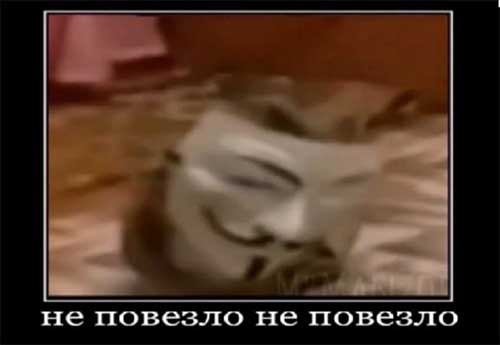 Ассистент Супер Питуза немного приболел Ассистент Супер Питуза немного приболел