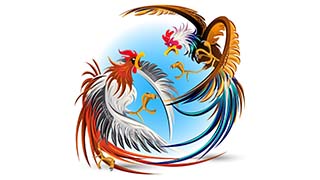Обновление у Super Petukh (SP) Обновление у Super Petukh (SP)