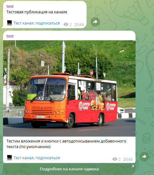 Вид данных опубликованных записей на канале